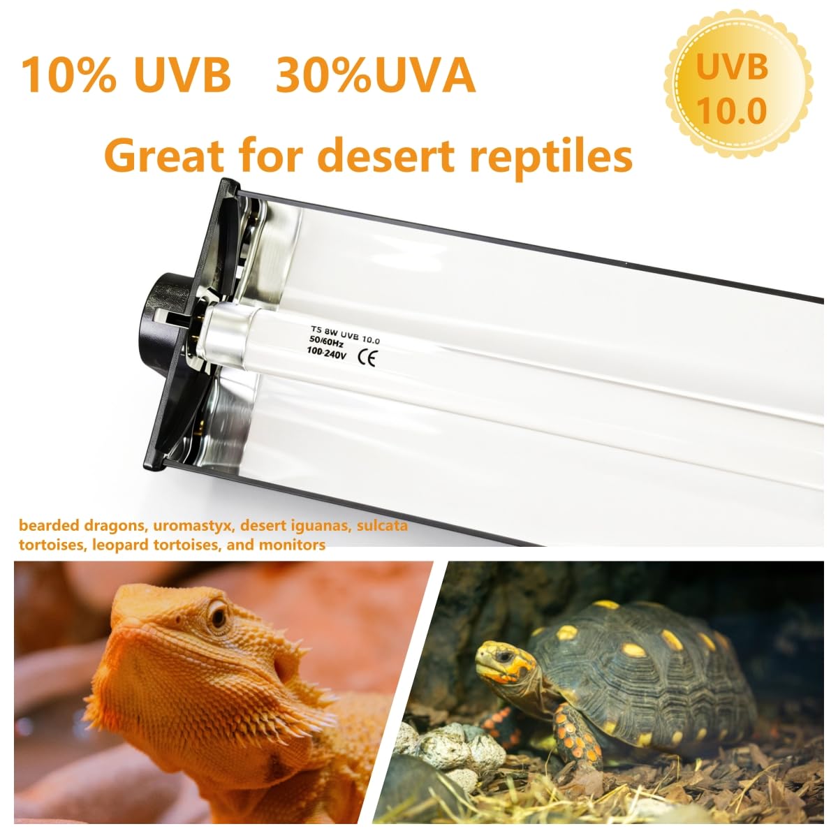 8W T5 UVB UVA Reptile Light Fixture and Bulb Kit W356
