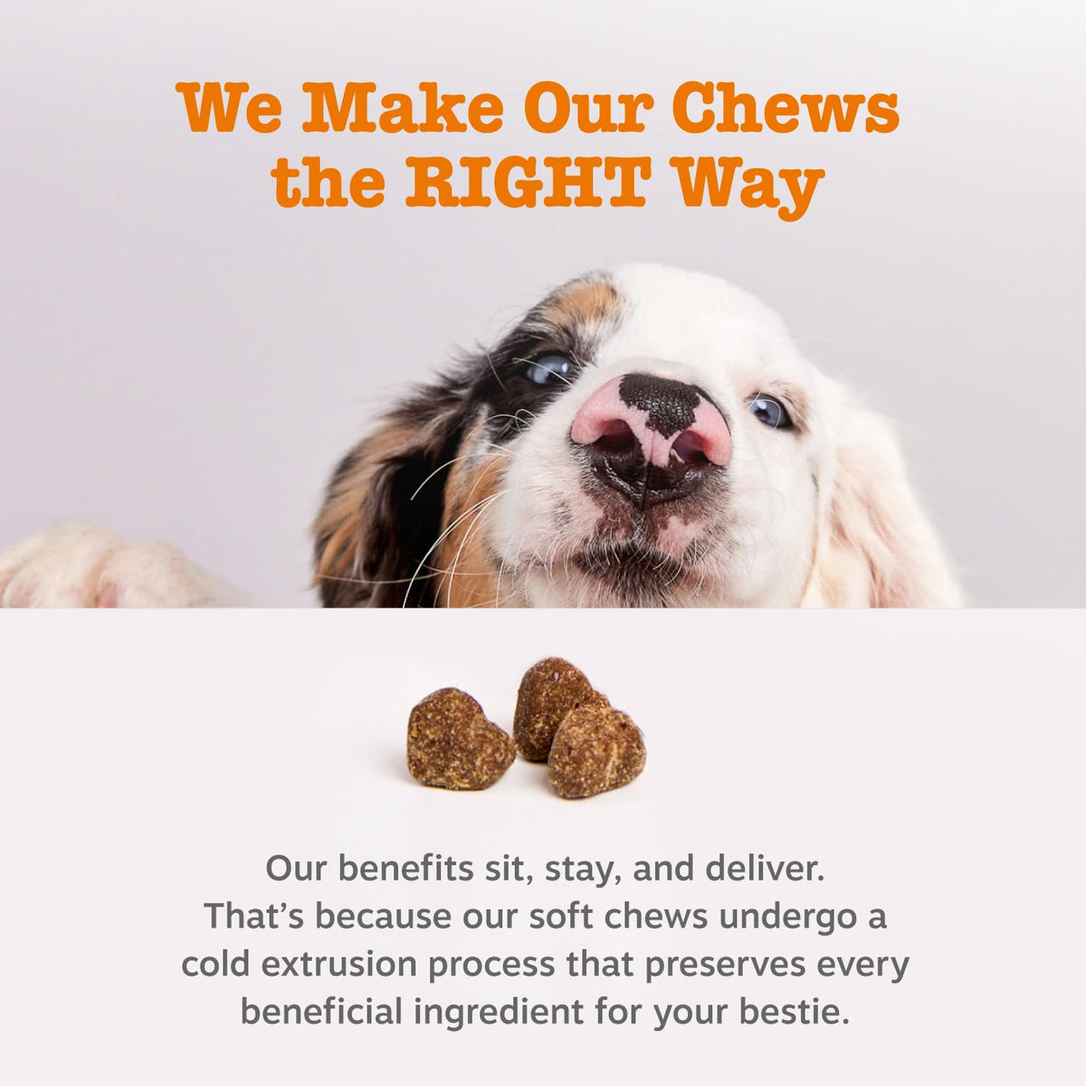 90 Count Dog Weight Management Supplement X97750