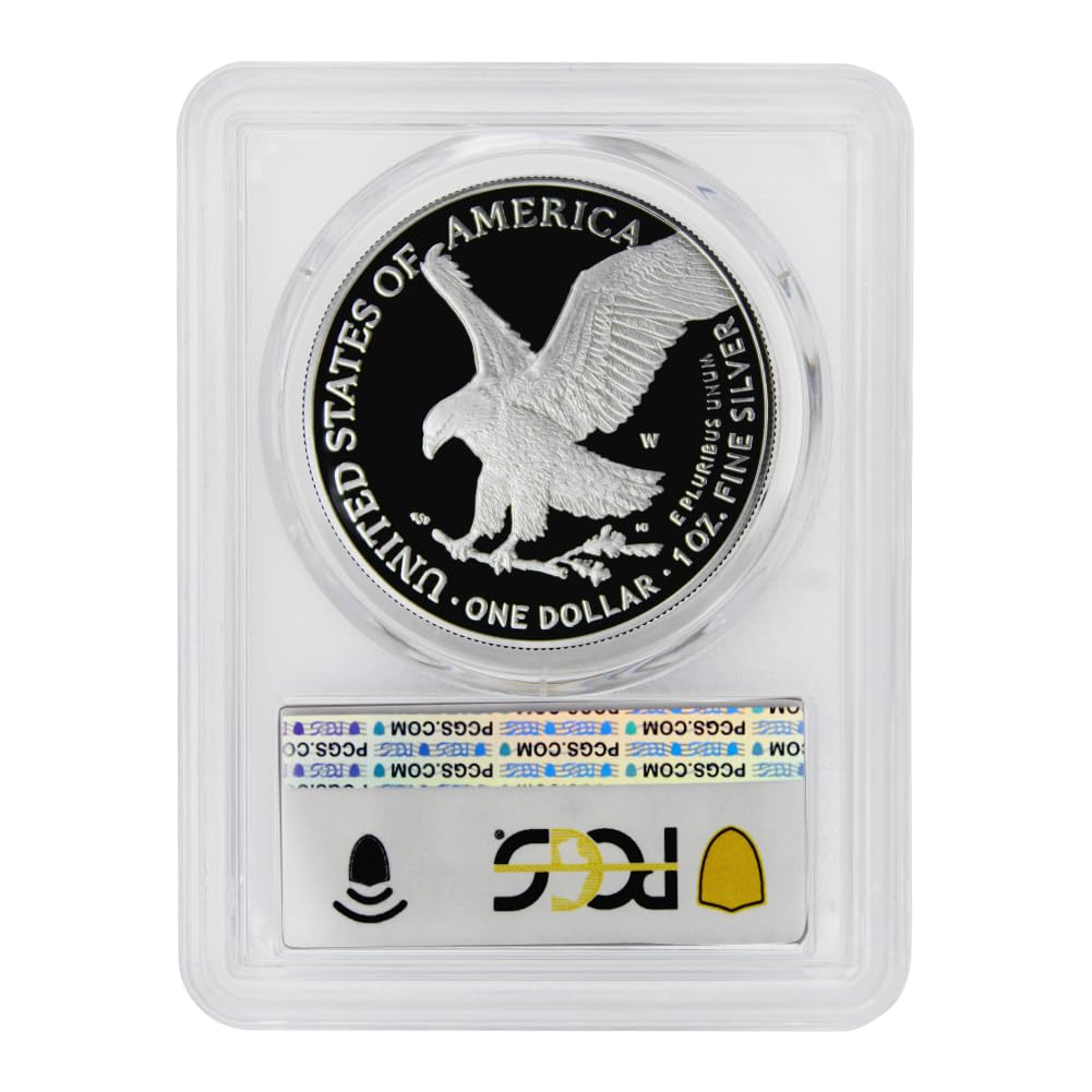 1 oz American Silver Eagle Coin S696734