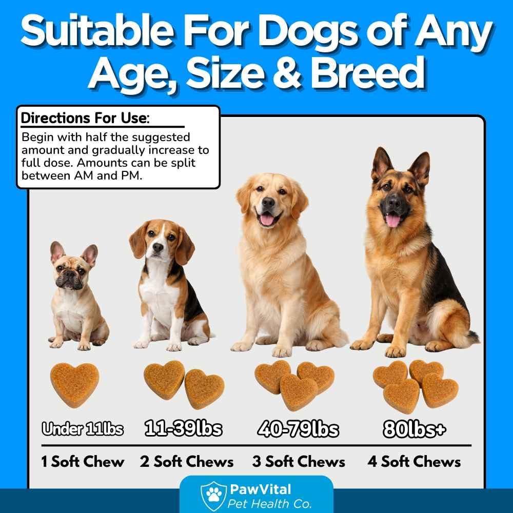 Flea and Tick Prevention for Dogs Chewables 150 Soft Chews Chicken Flavor X9739