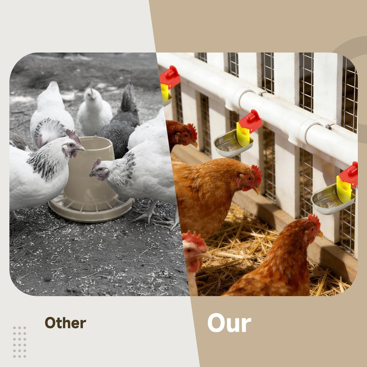 12 Pcs Stainless Self-Filling Chicken Water Cups G79790