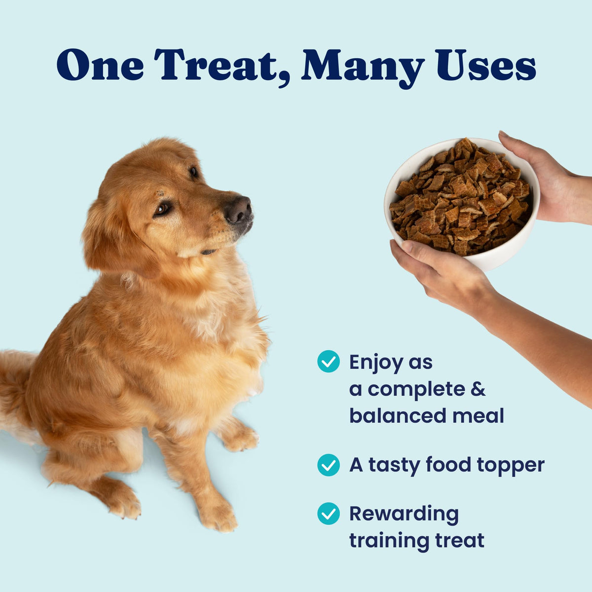 Air Dried Dog Food Topper & Treats Beef 1lb J350732