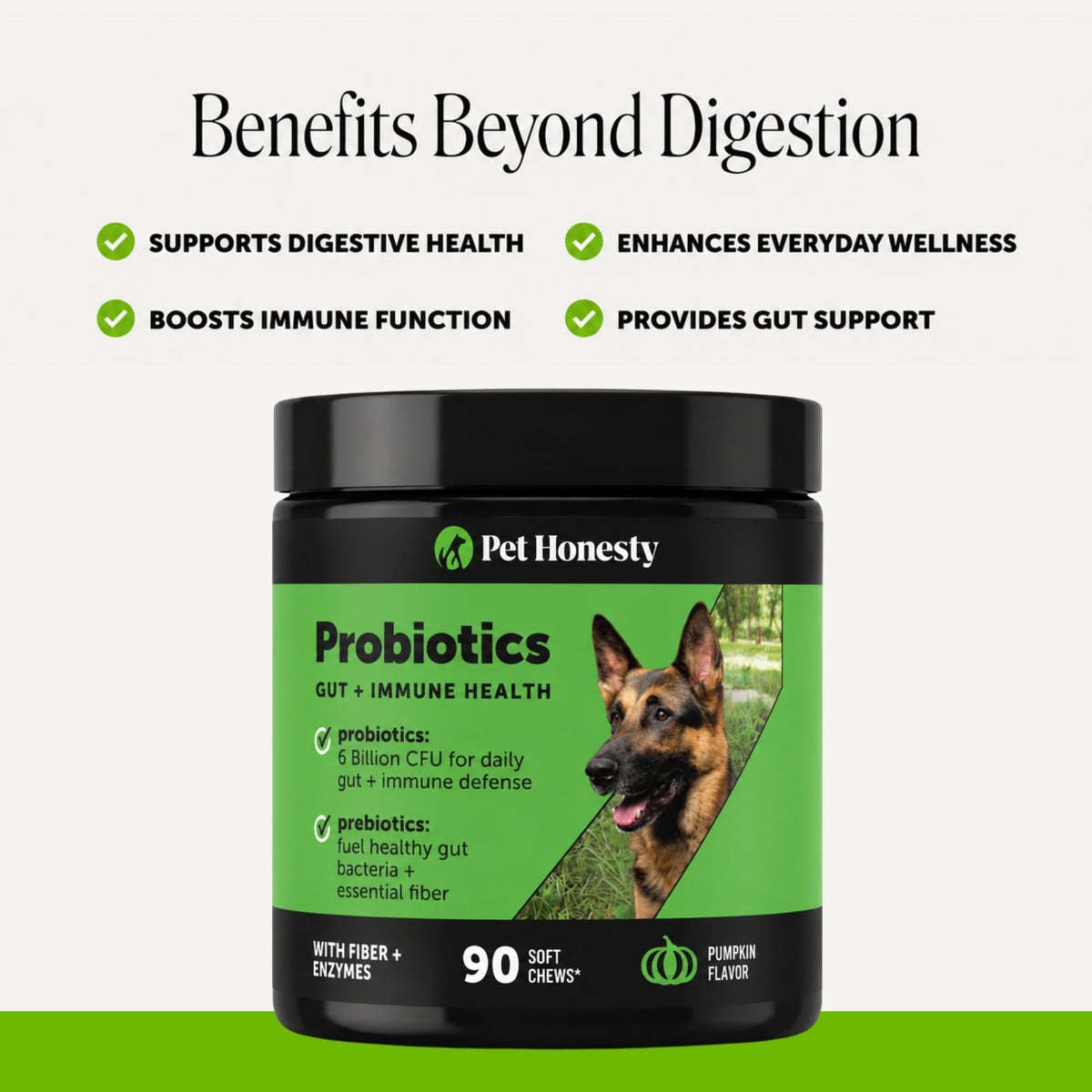 Dog Probiotics Chews 90ct Pumpkin Y361235
