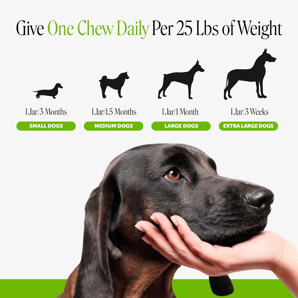 Dog Probiotics Chews 90ct Pumpkin Y361235