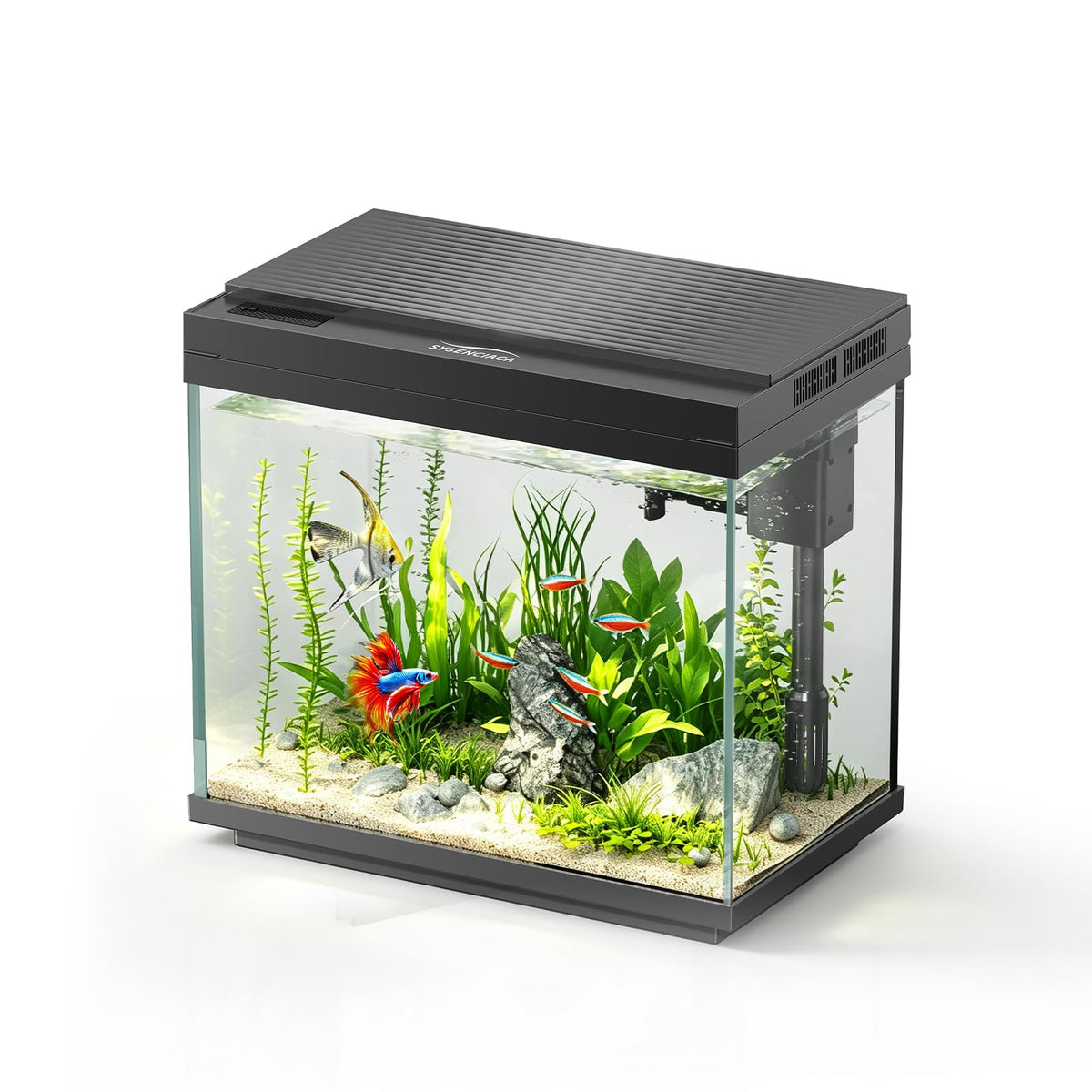 3 Gal Glass Fish Tank Kit with Filter & Light O142
