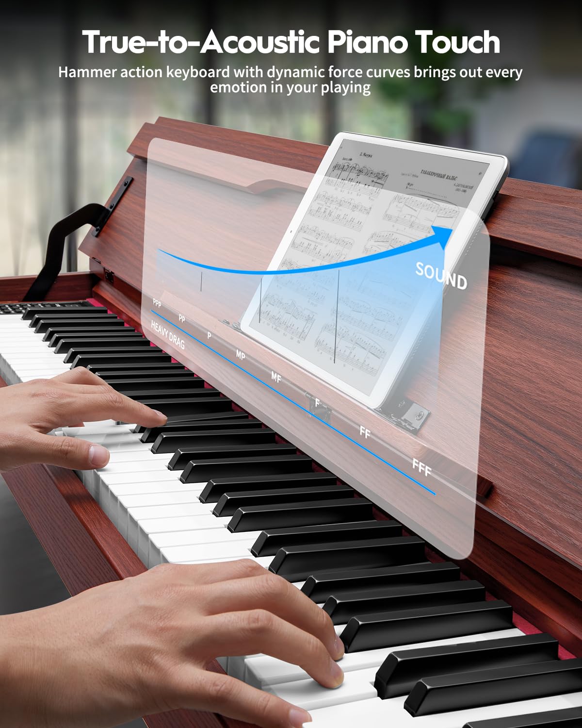 88 Keys Hammer-Action Fully Weighted Digital Piano with Furniture Stand B4370