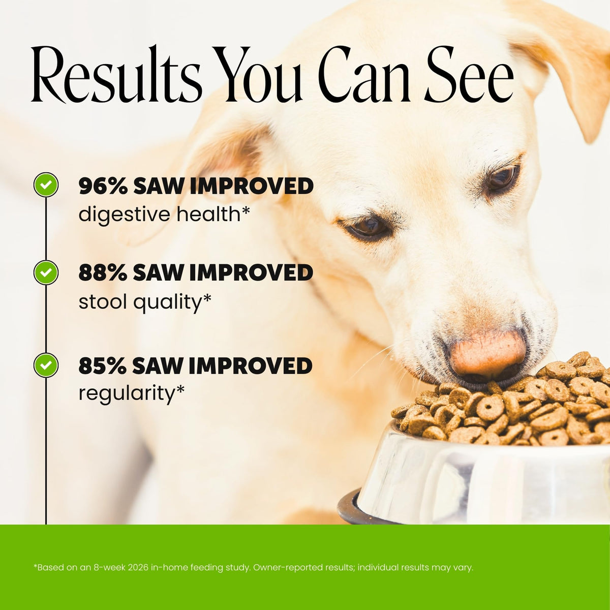 Dog Probiotics Chews 90ct Pumpkin Y361235