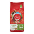 Chicken Dry Dog Food 4 lb Bag E51776