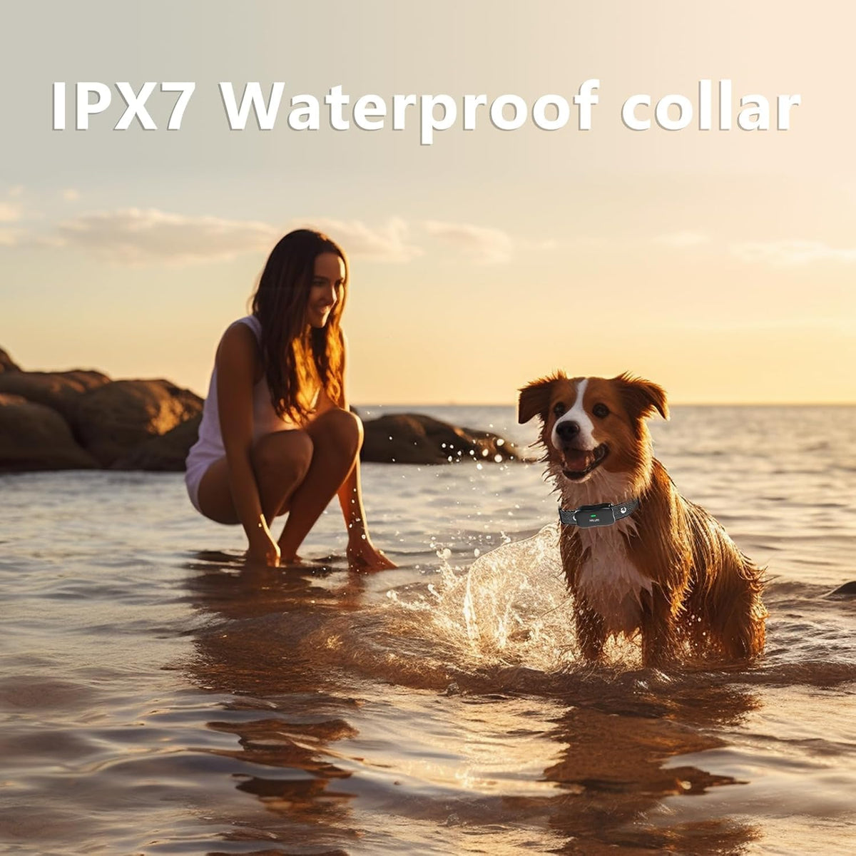 Wireless Dog Fence & Training Collar for 2 Dogs, IPX7 Waterproof, Black H8428