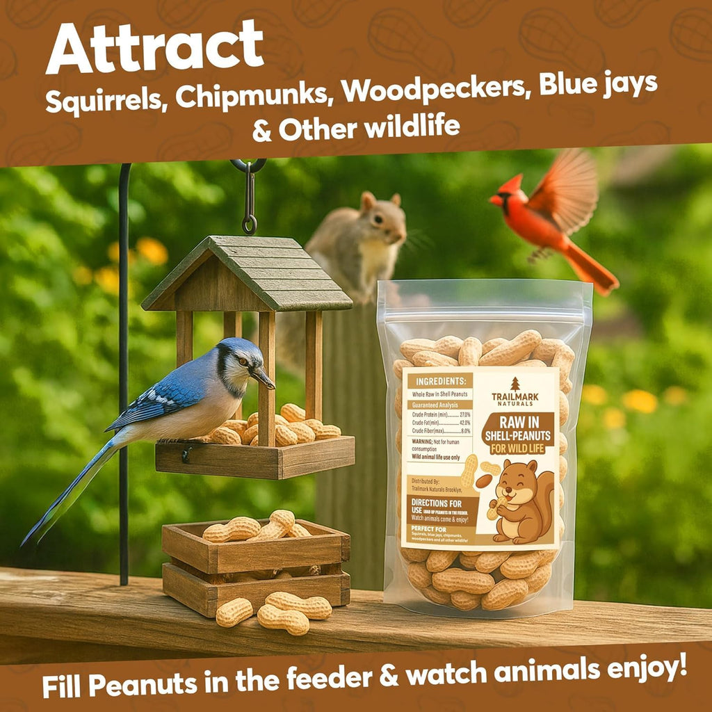 Raw Peanuts for Squirrels and Birds, 12 Pounds D1065