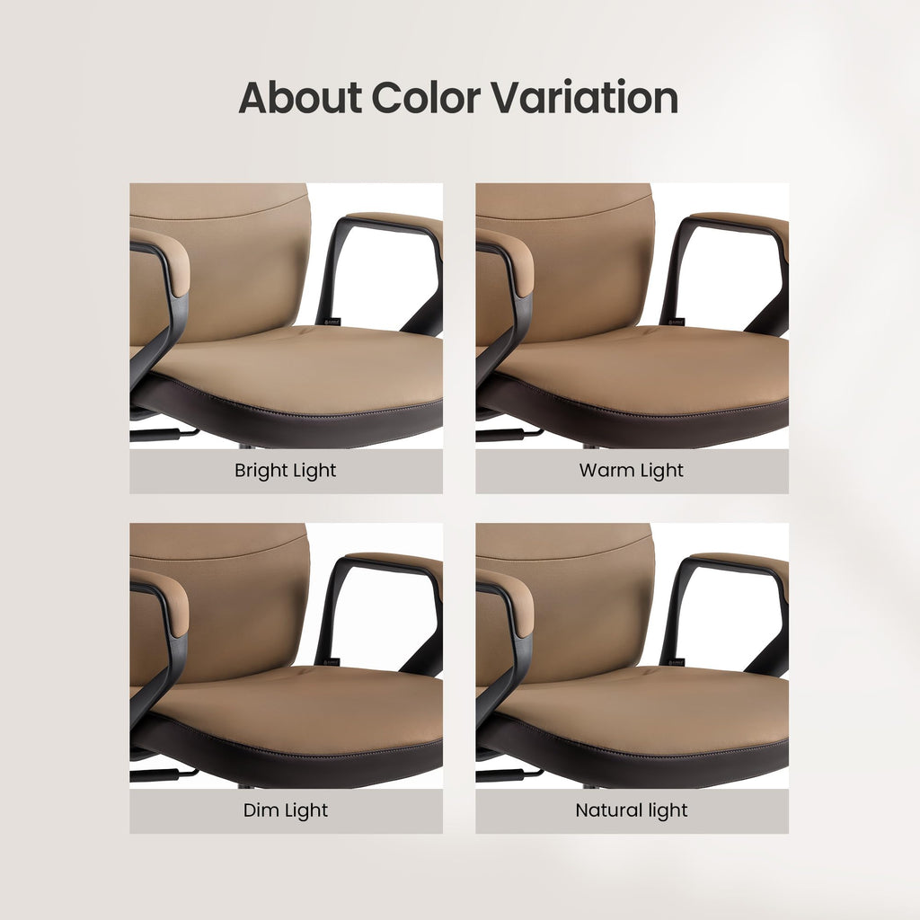 Brown Leather Executive Office Chair Q653