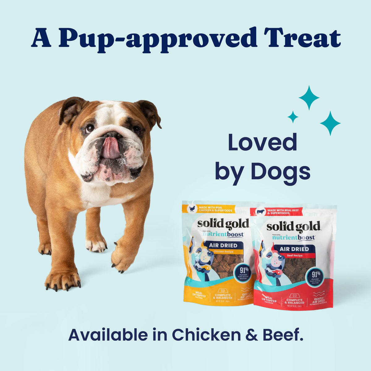 Air Dried Dog Food Topper & Treats Beef 1lb J350732