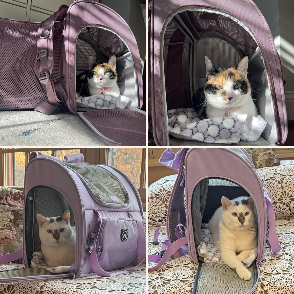 Expandable Large Cat Carrier Backpack P88800