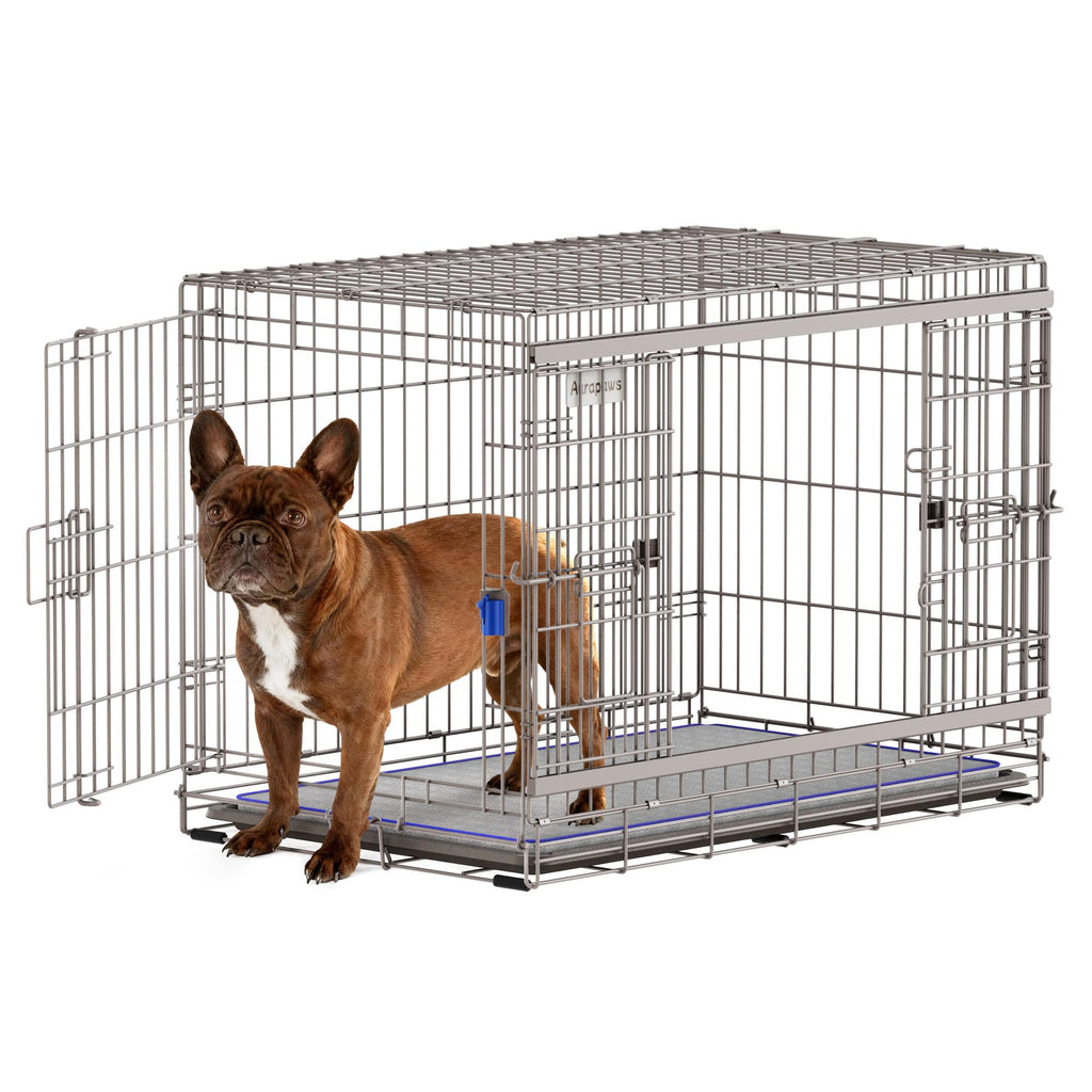 36 Inch Collapsible Dog Crate W551