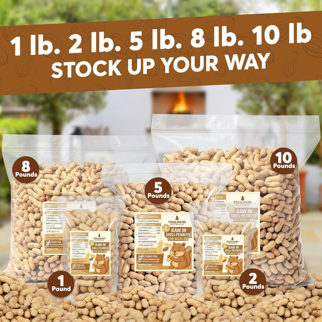 Raw Peanuts for Squirrels and Birds, 12 Pounds D1065
