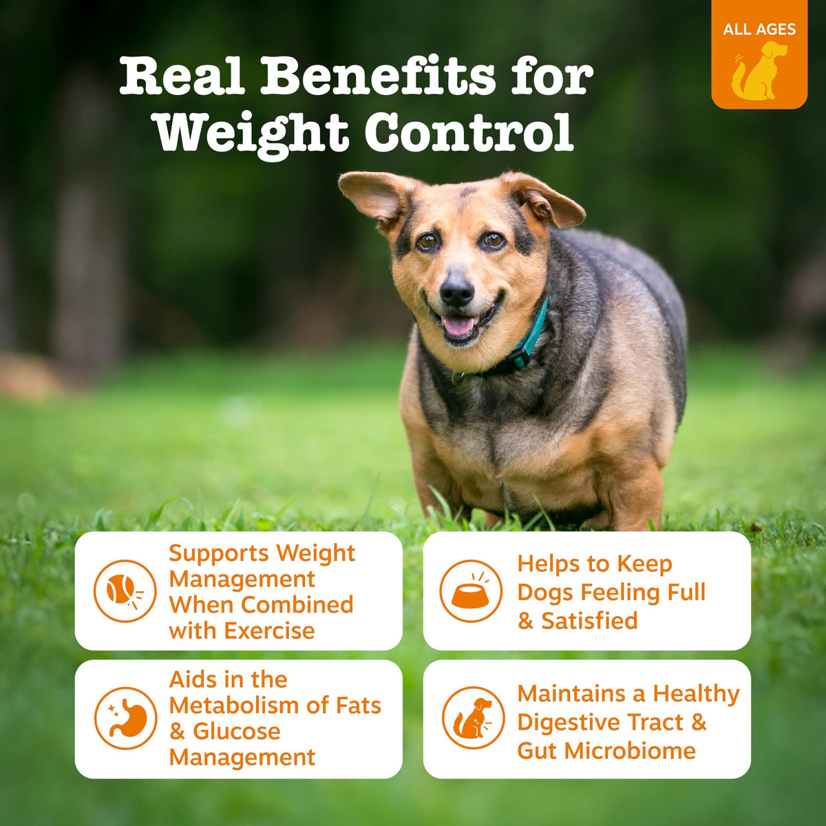 90 Count Dog Weight Management Supplement X97750