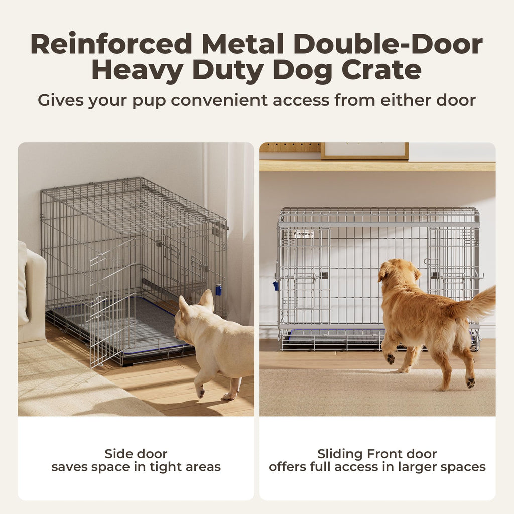 36 Inch Collapsible Dog Crate W551