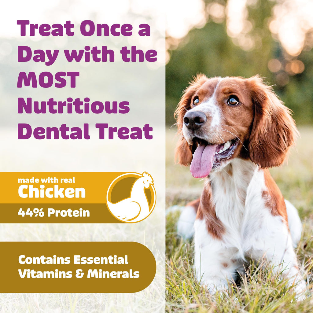 Chicken Dog Dental Treats Large 24oz & Medium 36 oz P853045