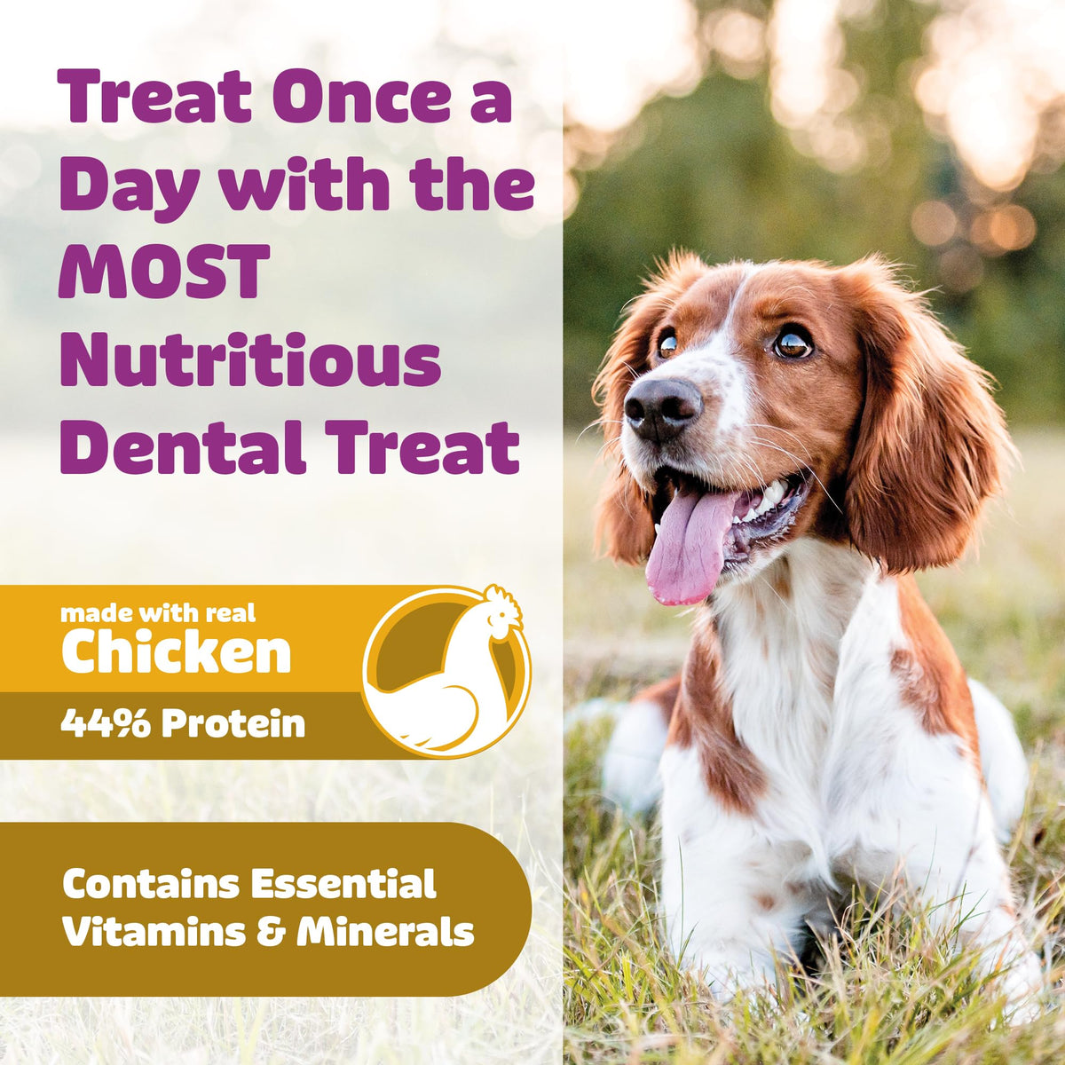 Chicken Dog Dental Treats Large 24oz & Medium 36 oz P853045