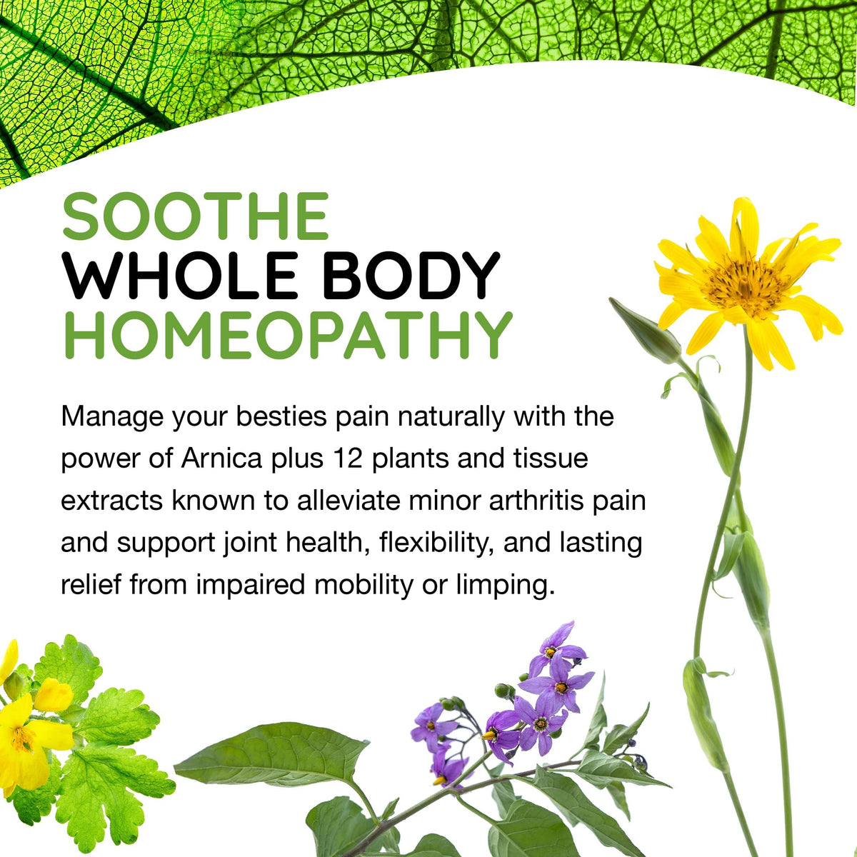 90 Tablets Homeopathic Pet Joint Relief B179901