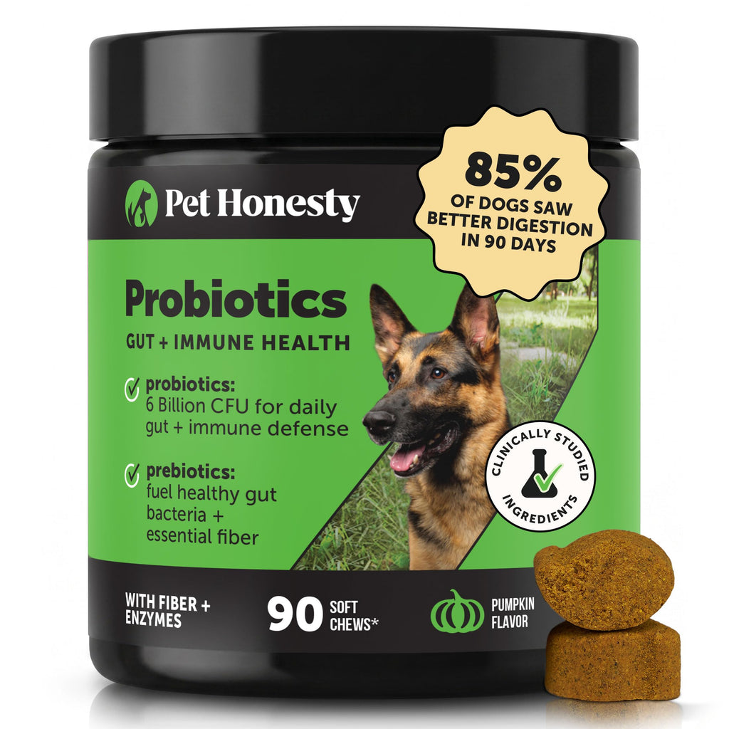 Dog Probiotics Chews 90ct Pumpkin Y361235