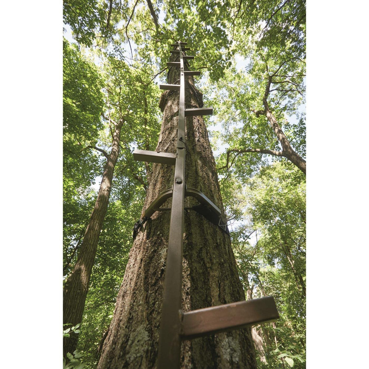 20' Rapid Climbing Sticks 4-Pack H206