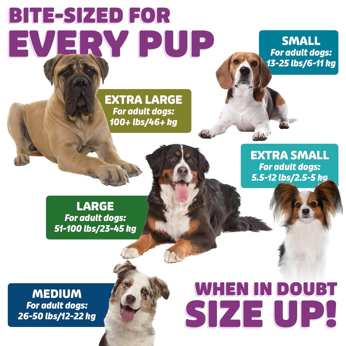 Chicken Dog Dental Treats Large 24oz & Medium 36 oz P853045