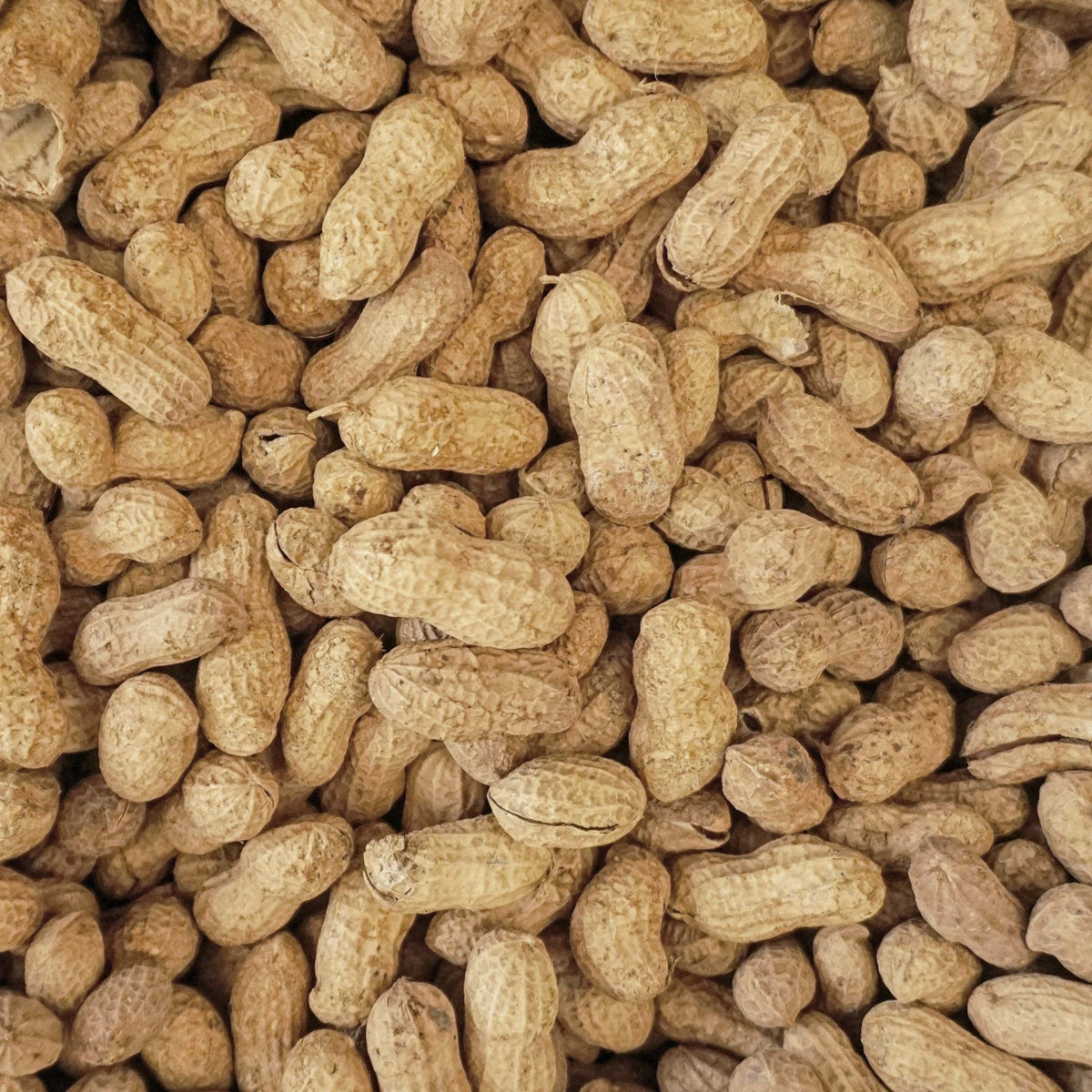 25 lb Animal Peanuts A3503
