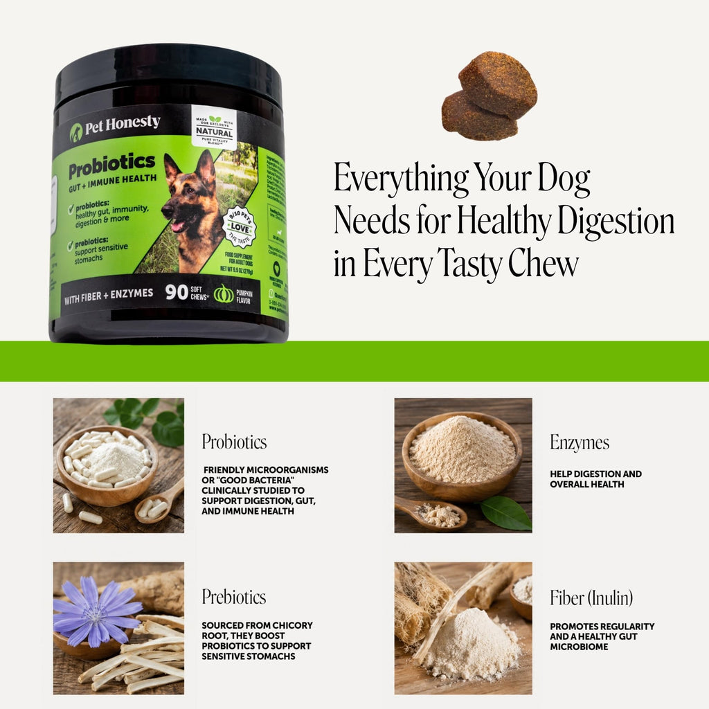 Dog Probiotics Chews 90ct Pumpkin Y361235