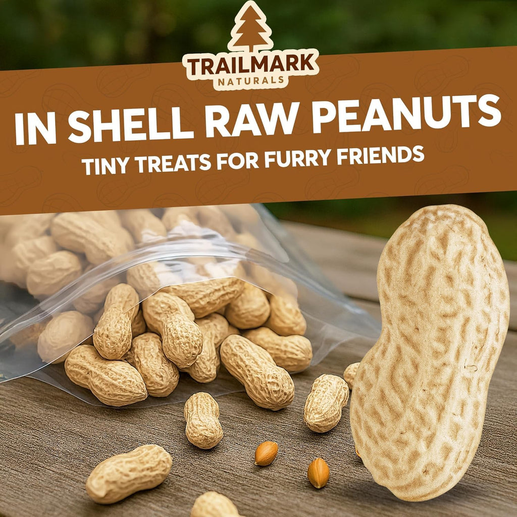 Raw Peanuts for Squirrels and Birds, 12 Pounds D1065