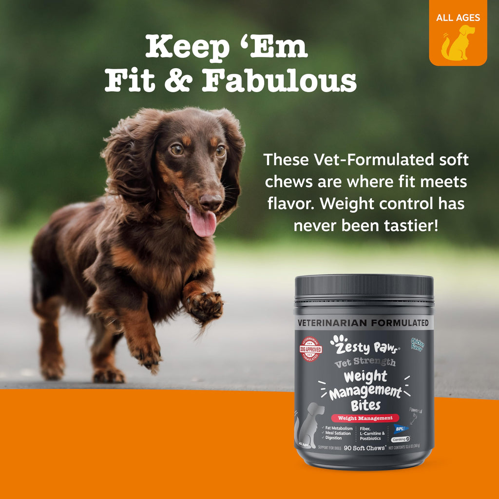 90 Count Dog Weight Management Supplement X97750